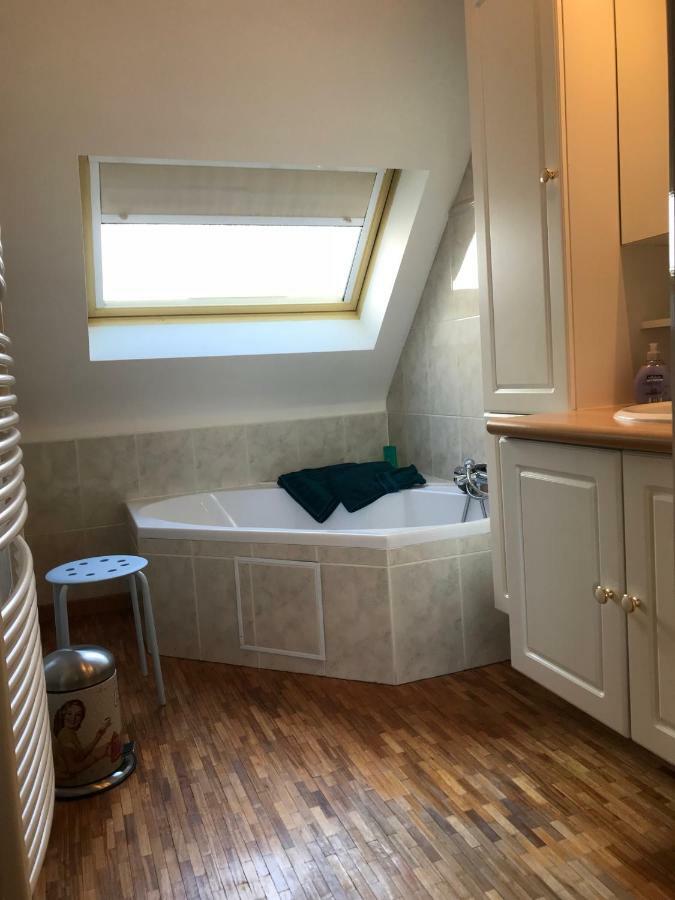 Comfortabel Dakappartement Met Zicht Op Jachthaven Turnhout Eksteriør bilde